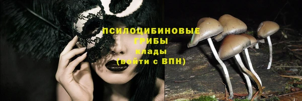шишки Гусев