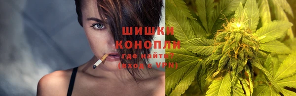 шишки Гусев