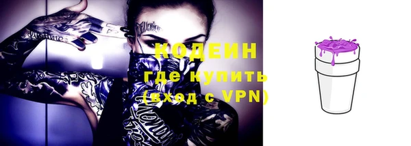 шишки Гусев