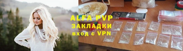 шишки Гусев