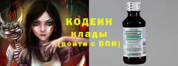 шишки Гусев