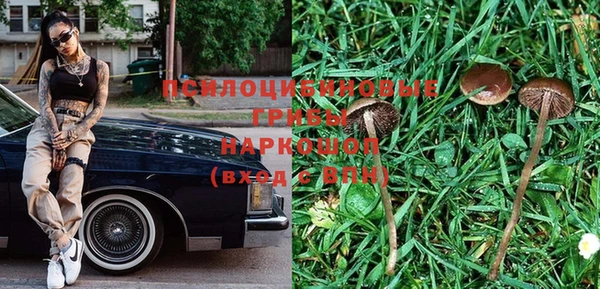 прущие грибы Гусь-Хрустальный