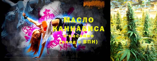 прущие грибы Гусь-Хрустальный