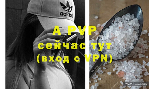 шишки Гусев