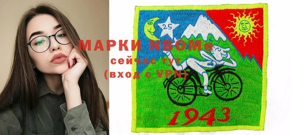 шишки Гусев