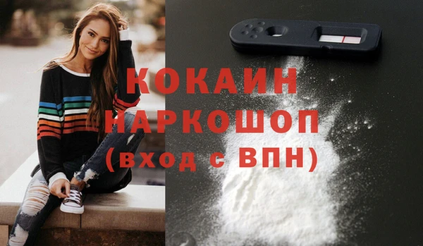 шишки Гусев