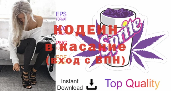 прущие грибы Гусь-Хрустальный
