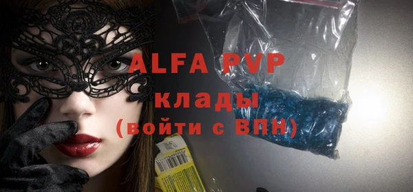 прущие грибы Гусь-Хрустальный