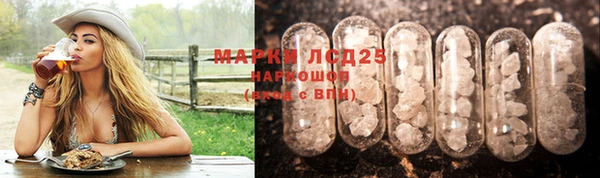 прущие грибы Гусь-Хрустальный