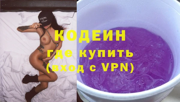 шишки Гусев