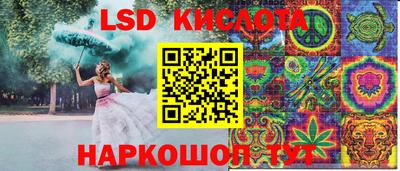 jwh Камышлов