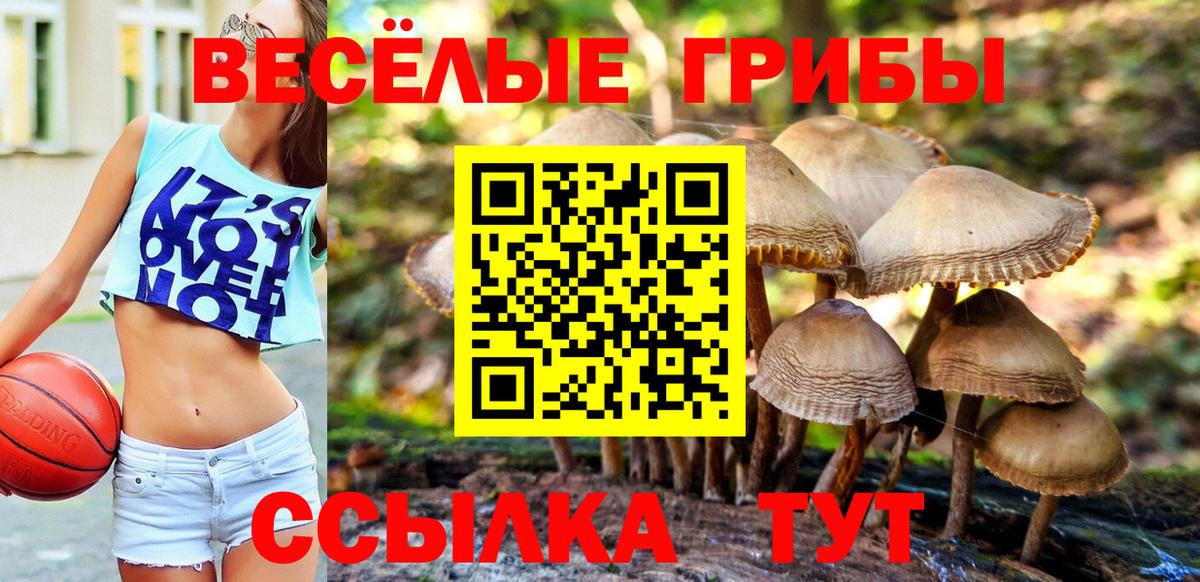 Галлюциногенные грибы Magic Shrooms Медногорск